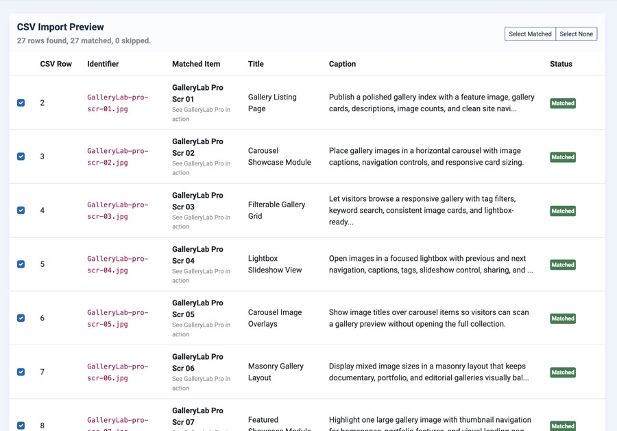 GalleryLab Pro CSV import preview showing matched rows, identifiers, target media records, captions, and status badges.