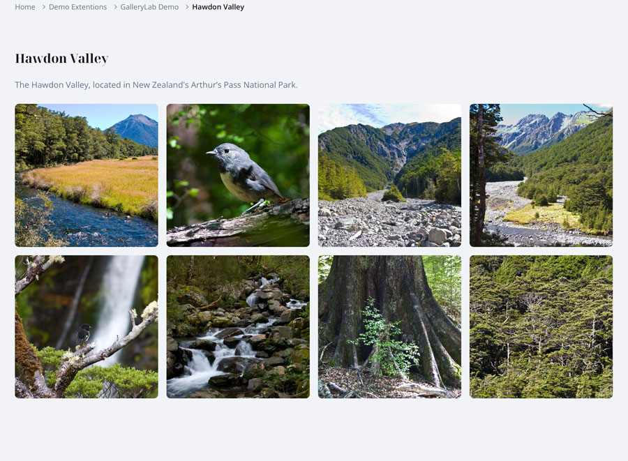 Gallery Grid View (Frontend)